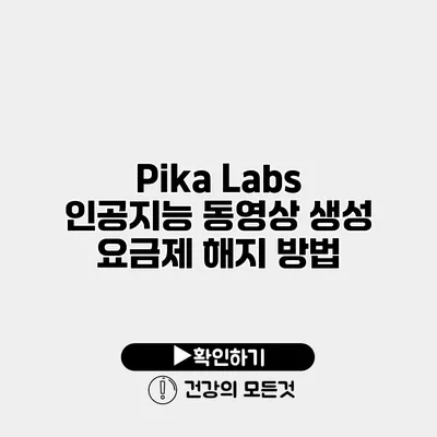 Pika Labs 인공지능 동영상 생성 요금제 해지 방법