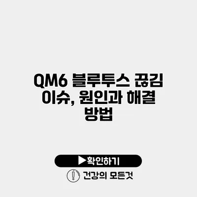 QM6 블루투스 끊김 이슈, 원인과 해결 방법