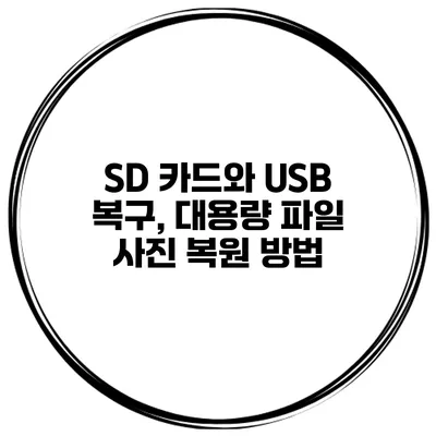 SD 카드와 USB 복구, 대용량 파일 사진 복원 방법