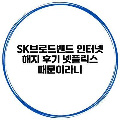SK브로드밴드 인터넷 해지 후기 넷플릭스 때문이라니