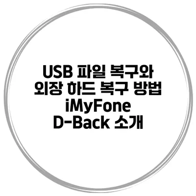 USB 파일 복구와 외장 하드 복구 방법 iMyFone D-Back 소개