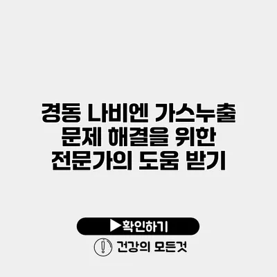경동 나비엔 가스누출 문제 해결을 위한 전문가의 도움 받기