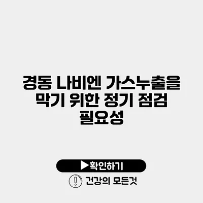 경동 나비엔 가스누출을 막기 위한 정기 점검 필요성