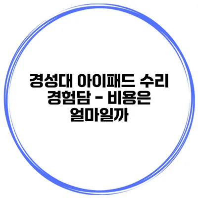 경성대 아이패드 수리 경험담 - 비용은 얼마일까?