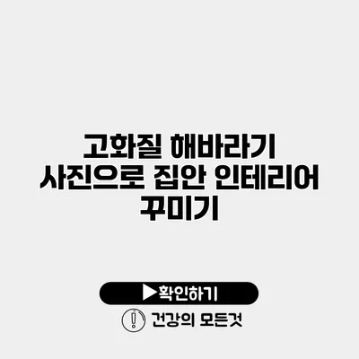 고화질 해바라기 사진으로 집안 인테리어 꾸미기
