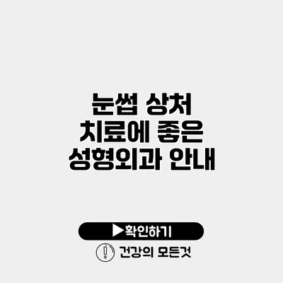 눈썹 상처 치료에 좋은 성형외과 안내