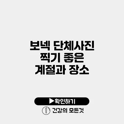 보넥 단체사진 찍기 좋은 계절과 장소