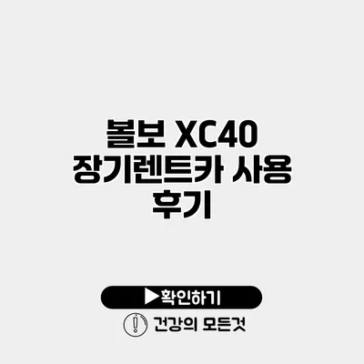 볼보 XC40 장기렌트카 사용 후기