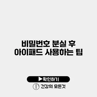 비밀번호 분실 후 아이패드 사용하는 팁