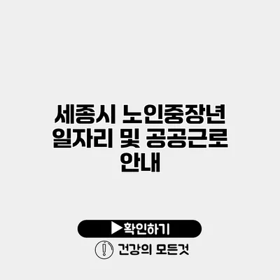 세종시 노인중장년 일자리 및 공공근로 안내