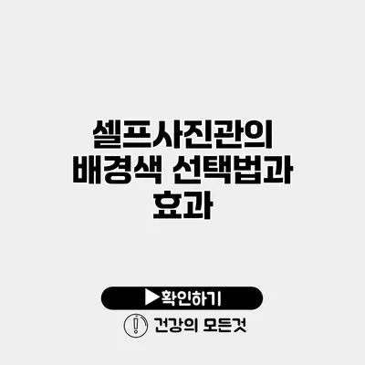 셀프사진관의 배경색 선택법과 효과