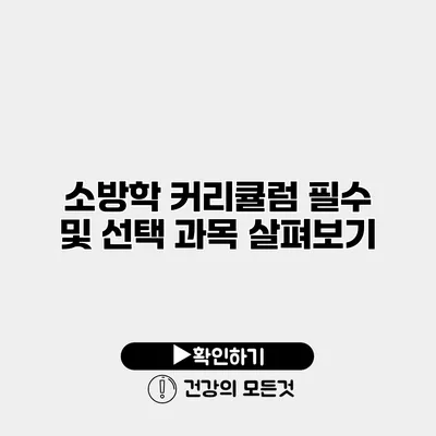 소방학 커리큘럼 필수 및 선택 과목 살펴보기