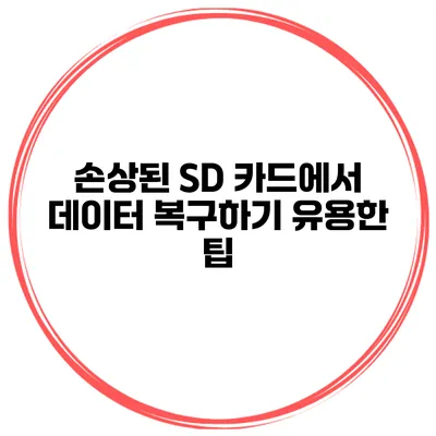 손상된 SD 카드에서 데이터 복구하기 유용한 팁