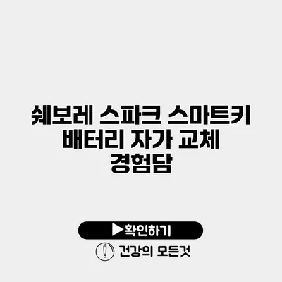 쉐보레 스파크 스마트키 배터리 자가 교체 경험담