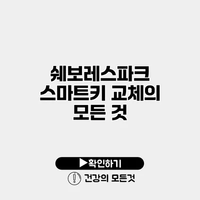 쉐보레스파크 스마트키 교체의 모든 것