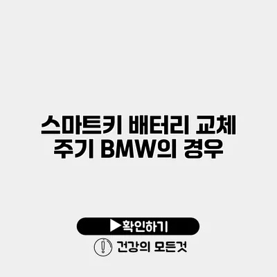 스마트키 배터리 교체 주기 BMW의 경우