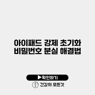 아이패드 강제 초기화 비밀번호 분실 해결법