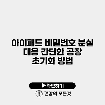 아이패드 비밀번호 분실 대응 간단한 공장 초기화 방법