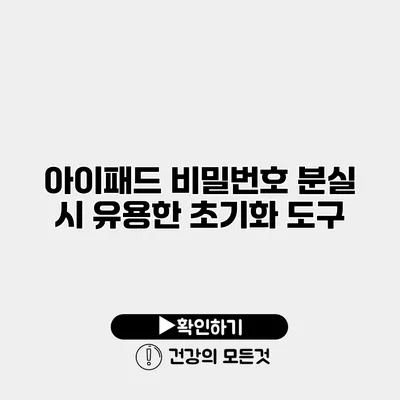 아이패드 비밀번호 분실 시 유용한 초기화 도구