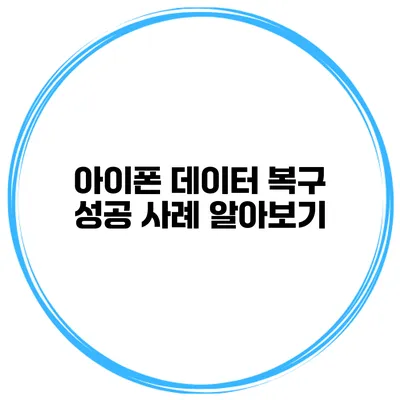 아이폰 데이터 복구 성공 사례 알아보기