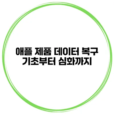 애플 제품 데이터 복구 기초부터 심화까지