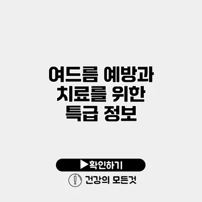 여드름 예방과 치료를 위한 특급 정보