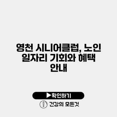영천 시니어클럽, 노인 일자리 기회와 혜택 안내