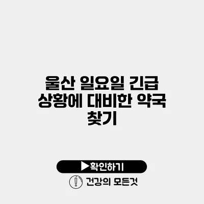 울산 일요일 긴급 상황에 대비한 약국 찾기