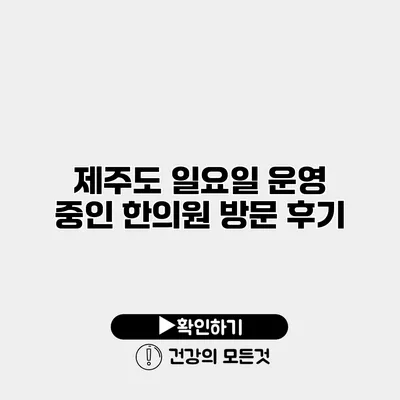 제주도 일요일 운영 중인 한의원 방문 후기
