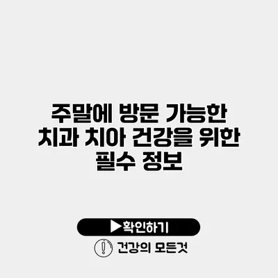주말에 방문 가능한 치과 치아 건강을 위한 필수 정보