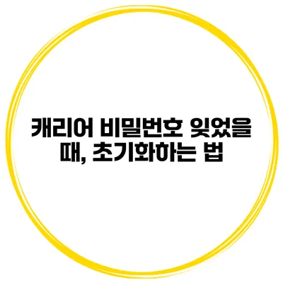 캐리어 비밀번호 잊었을 때, 초기화하는 법