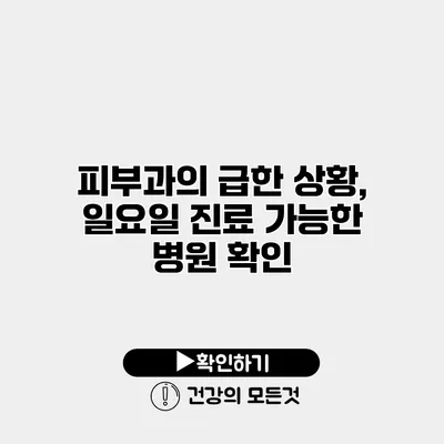 피부과의 급한 상황, 일요일 진료 가능한 병원 확인