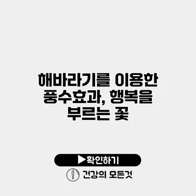 해바라기를 이용한 풍수효과, 행복을 부르는 꽃