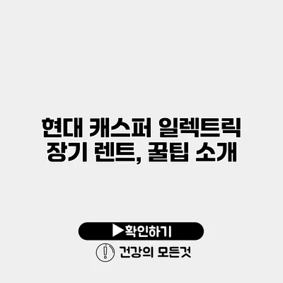 현대 캐스퍼 일렉트릭 장기 렌트, 꿀팁 소개