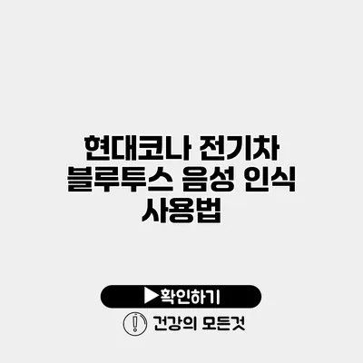 현대코나 전기차 블루투스 음성 인식 사용법