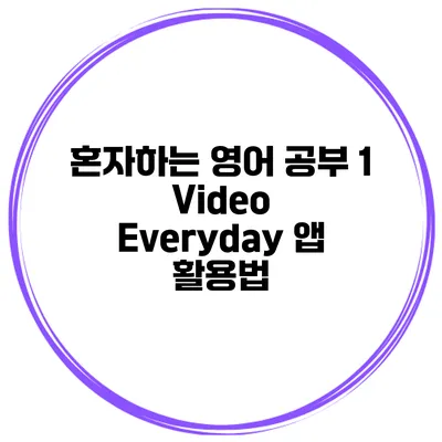 혼자하는 영어 공부 1 Video Everyday 앱 활용법